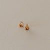 Pair of gold earrings on a beige background
