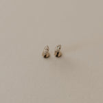 Load image into Gallery viewer, Pair of earrings on a beige background
