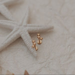 Gold earrings with starfish and shells on a textured surface