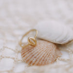 Load image into Gallery viewer, Maui Cowrie Ring
