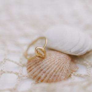 Maui Cowrie Ring