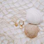 Load image into Gallery viewer, Sea Shell Hoops
