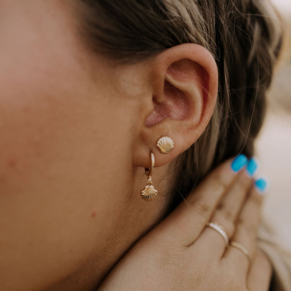 Sea Shell Hoops