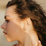 Load image into Gallery viewer, Charlotte Diamond Gold Filled Hoops
